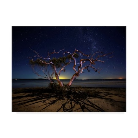 Mel Brackstone 'The Tree' Canvas Art,14x19